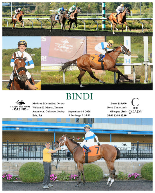 BINDI - 09-14-26 - R06 - PID