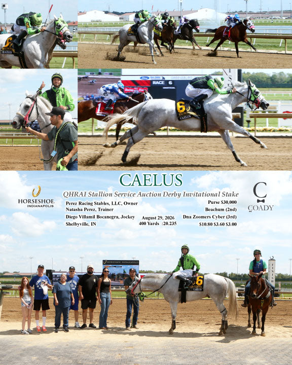 CAELUS - QHRAI Stallion Service Auction Derby Invitational Stake - 08-29-26 - R06 - IND