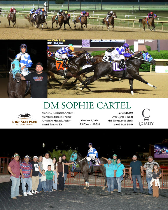 DM SOPHIE CARTEL - 10-02-26 - R06 - LSP