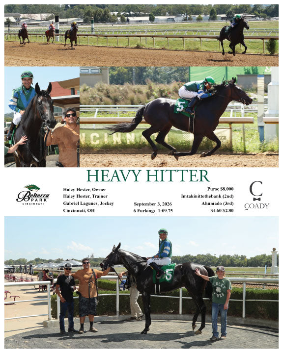 HEAVY HITTER - 09-03-26 - R06 - BTP