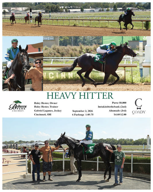 HEAVY HITTER - 09-03-26 - R06 - BTP