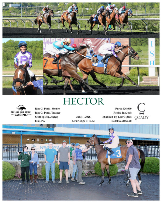 HECTOR - 06-01-26 - R06 - PID