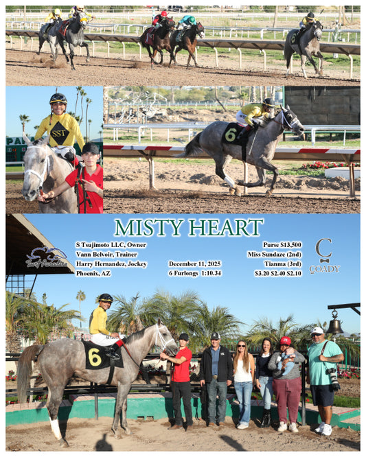 MISTY HEART - 12-11-25 - R06 - TUP