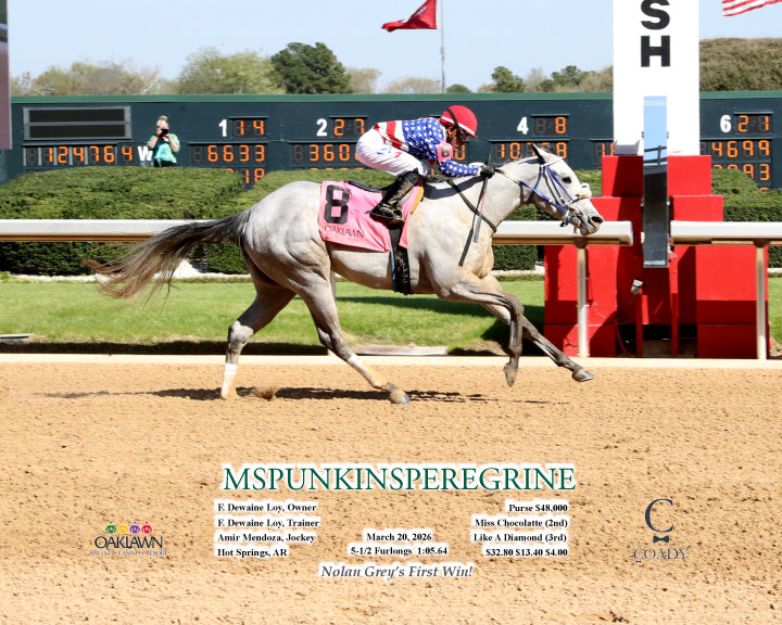 MSPUNKINSPEREGRINE - 032026 - Race 06 - OP - Action - Coady Media - Kurtis Coady Photography