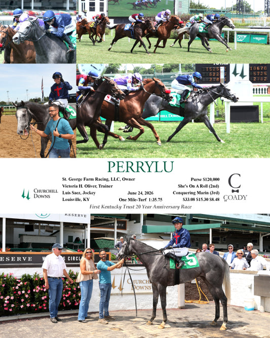 PERRYLU - 06-24-26 - R06 - CD