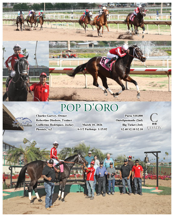 POP D'ORO - 03-10-26 - R06 - TUP - Coady Media - Kurtis Coady Photography