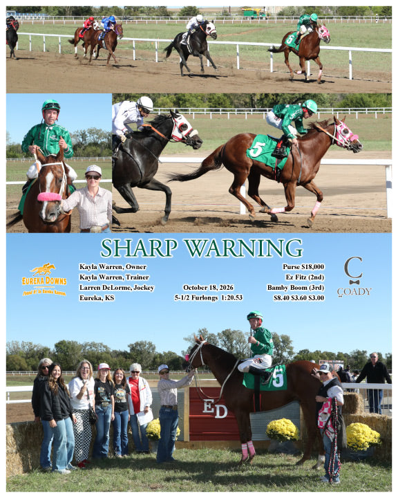 SHARP WARNING - 10-18-26 - R06 - EUR