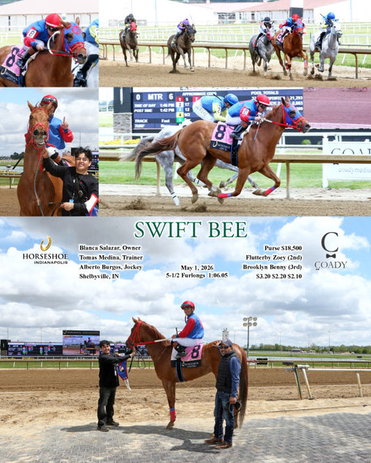 SWIFT BEE - 05-01-26 - R06 - IND - Coady Media - Kurtis Coady Photography