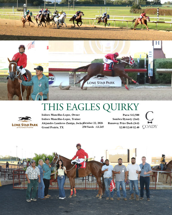 THIS EAGLES QUIRKY - 10-22-26 - R06 - LS - Coady Media - Kurtis Coady Photography