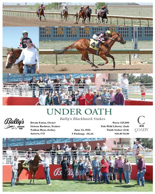 UNDER OATH - Bally's Blackhawk Stakes - 06-13-26 - R06 - ARP