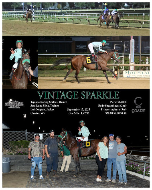 VINTAGE SPARKLE - 09-17-25 - R06 - MNR