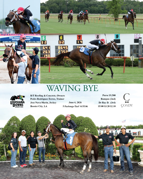 WAVING BYE - 06-06-26 - R06 - LAD