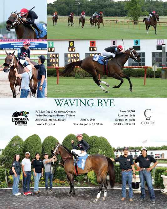 WAVING BYE - 06-06-26 - R06 - LAD