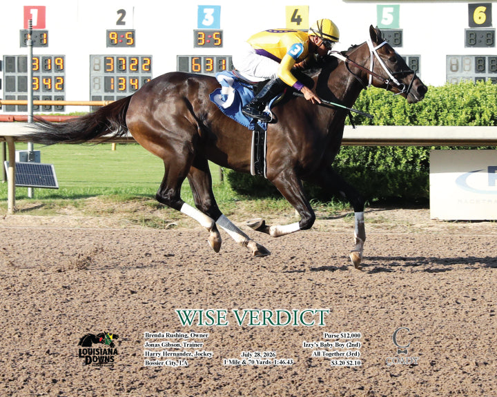 WISE VERDICT - 07-28-26 - R06 - LAD