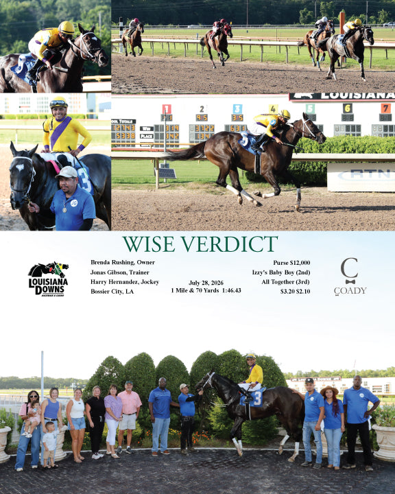 WISE VERDICT - 07-28-26 - R06 - LAD