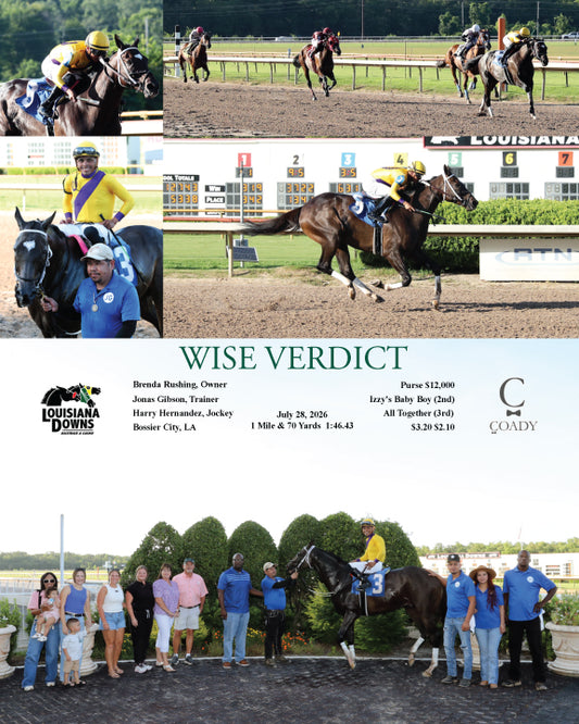 WISE VERDICT - 07-28-26 - R06 - LAD