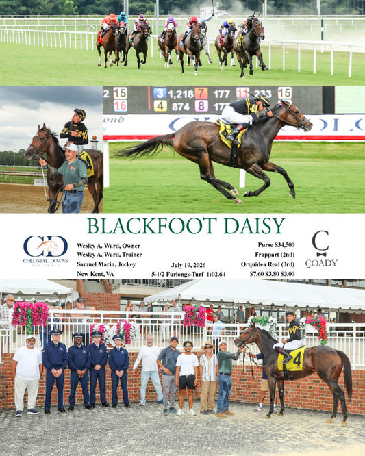 BLACKFOOT DAISY - 07-19-26 - R07 - CNL