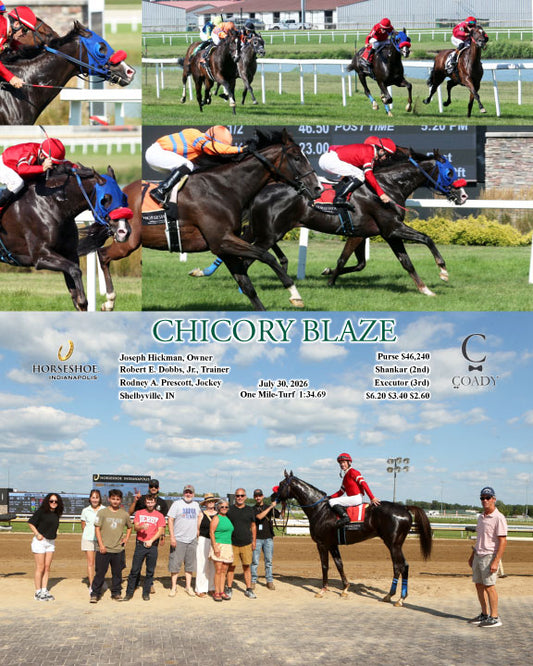CHICORY BLAZE - 07-30-26 - R07 - IND
