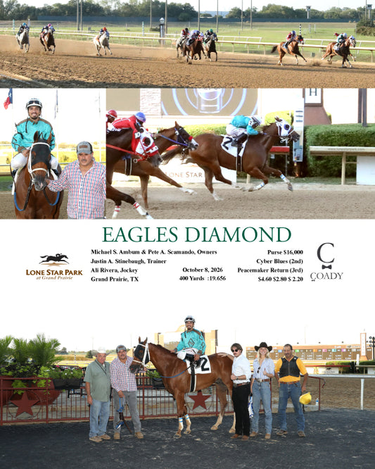 EAGLES DIAMOND - 10-08-26 - R07 - LS - Coady Media - Kurtis Coady Photography