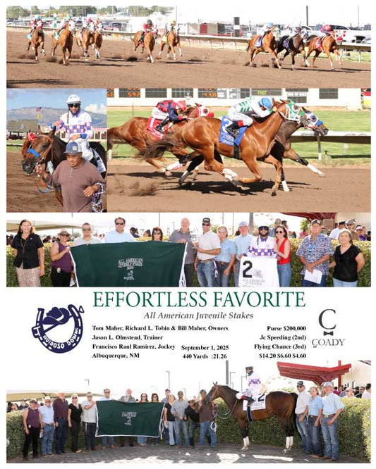 EFFORTLESS FAVORITE  - All American Juvenile Stakes - 09-01-25 - R07 - RUI - Coady Media - Kurtis Coady Photography