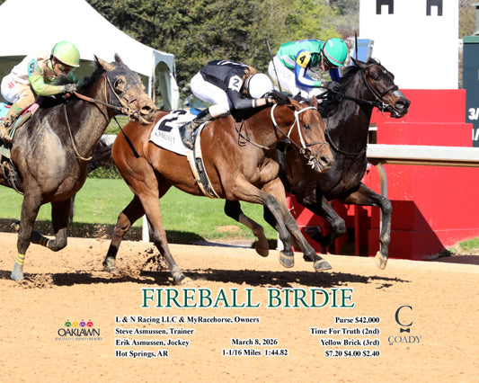 FIREBALL BIRDIE - 03-08-26 - R07 - OP - A4 - Coady Media - Kurtis Coady Photography