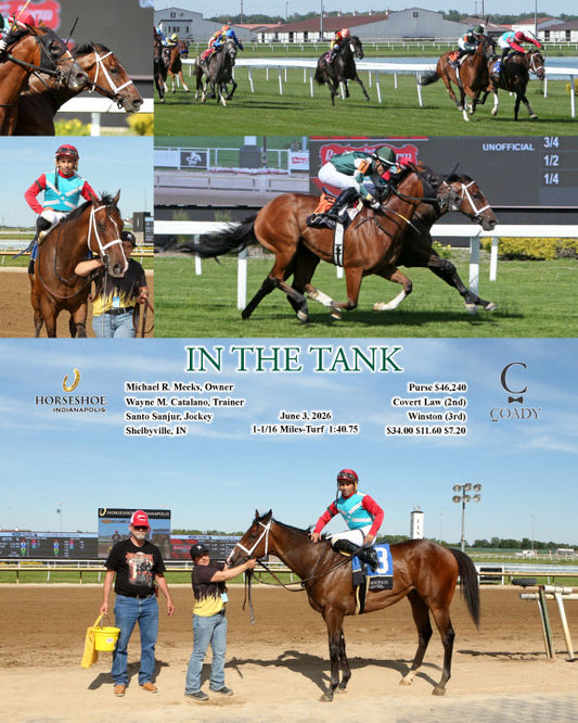 IN THE TANK - 06-03-26 - R07 - IND