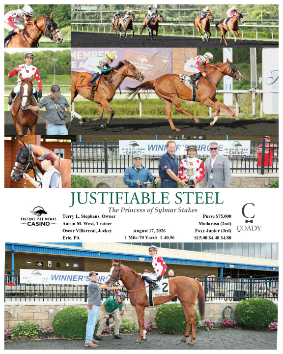 JUSTIFIABLE STEEL - The Princess of Sylmar Stakes - 08-17-26 - R07 - PID