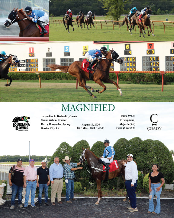 MAGNIFIED - 08-10-26 - R07 - LAD