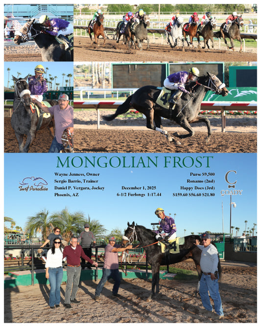 MONGOLIAN FROST - 12-01-25 - R07 - TUP