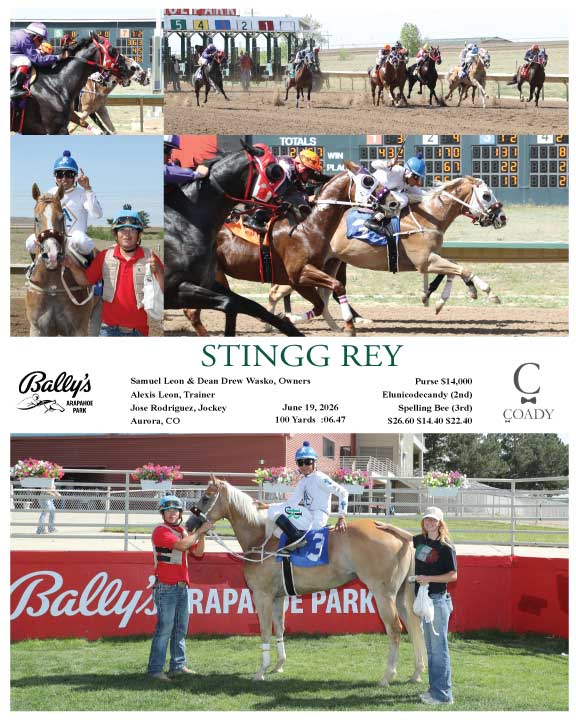 STINGG REY - 06-19-26 - R07 - ARP