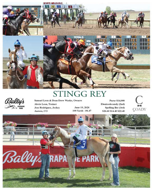 STINGG REY - 06-19-26 - R07 - ARP