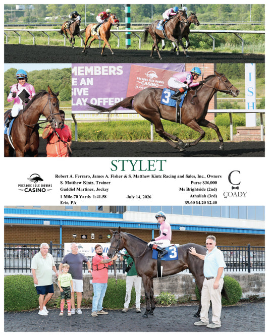 STYLET - 07-14-26 - R07 - PID