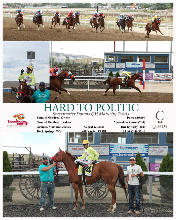 HARD TO POLITIC - Sweetwater Downs QH Maturity Trials - 08-23-26 - R07 - SWF