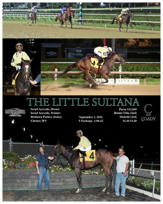 THE LITTLE SULTANA - 09-01-26 - R07 - MNR