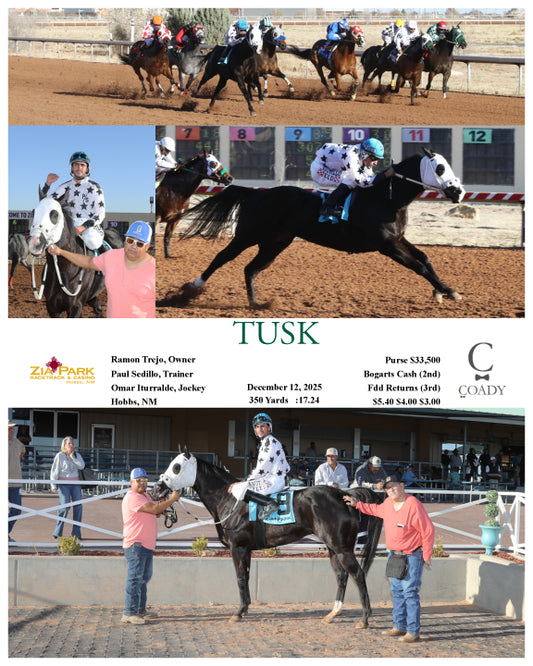TUSK - 12-12-25 - R07 - ZIA