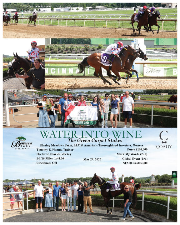 WATER INTO WINE - The Green Carpet Stakes - 05-29-26 - R07 - BTP