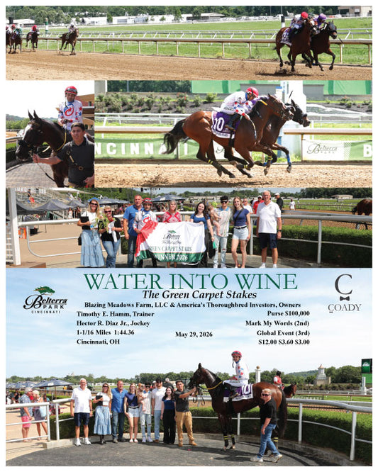WATER INTO WINE - The Green Carpet Stakes - 05-29-26 - R07 - BTP