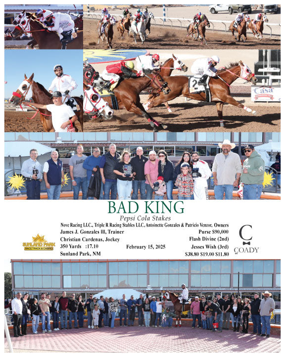 BAD KING - Pepsi Cola Stakes - 02-15-25 - R08 - SUN - Coady Media - Kurtis Coady Photography