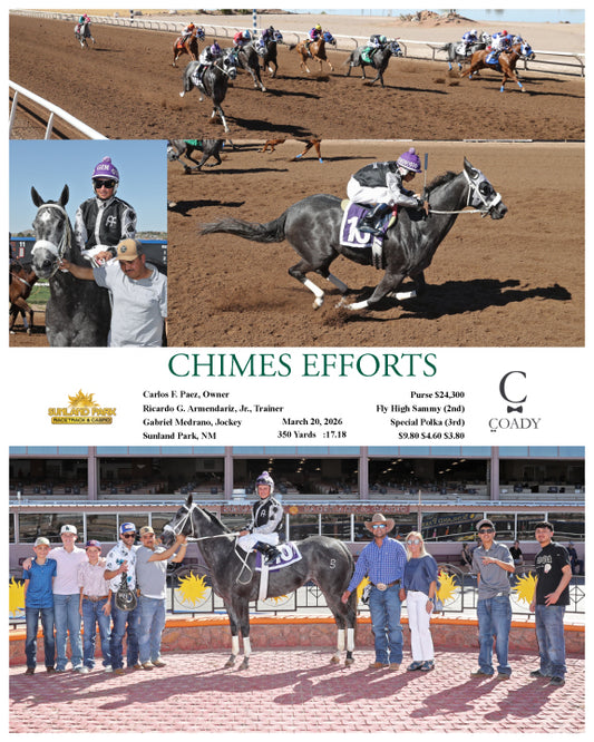 CHIMES EFFORTS - 03-20-26 - R08 - SUN - Coady Media - Kurtis Coady Photography