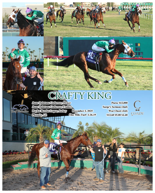 CRAFTY KING - 12-02-25 - R08 - TUP