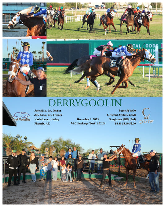 DERRYGOOLIN - 12-01-25 - R08 - TUP