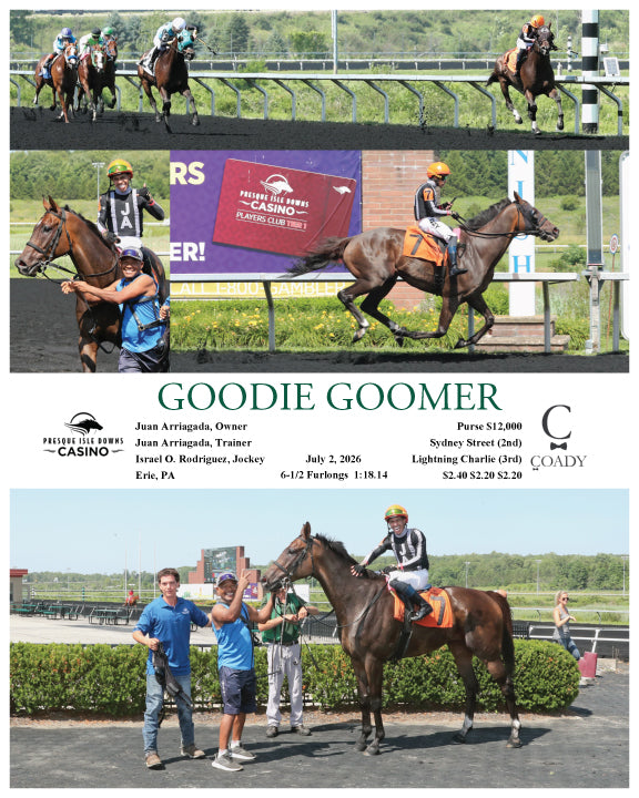 GOODIE GOOMER - 07-02-26 - R08 - PID