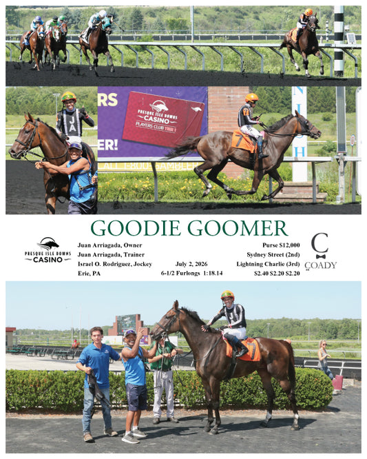 GOODIE GOOMER - 07-02-26 - R08 - PID