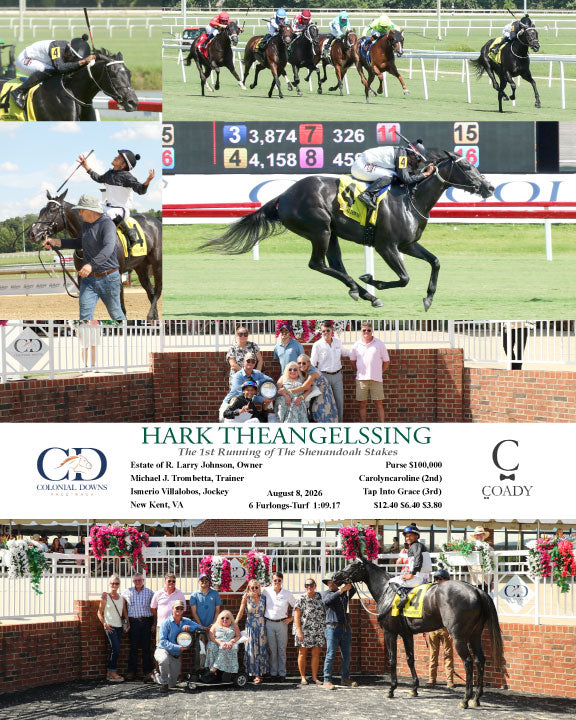 HARK THEANGELSSING - The 1st Running of The Shenandoah Stakes - 08-08-26 - R08 - CNL