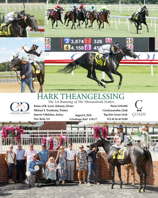 HARK THEANGELSSING - The 1st Running of The Shenandoah Stakes - 08-08-26 - R08 - CNL