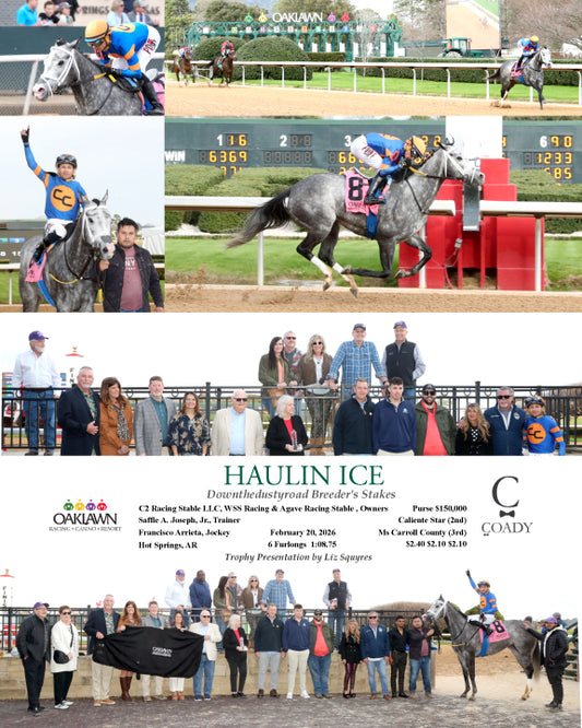 HAULIN ICE - Downthedustyroad Breeder's Stakes - 02-20-26 - R08 - OP - Coady Media - Kurtis Coady Photography