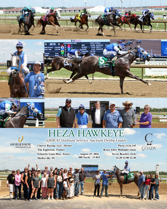 HEZA HAWKEYE - QHRAI Stallion Service Auction Derby Finals - 08-29-26 - R08 - IND