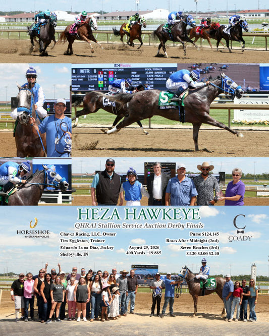 HEZA HAWKEYE - QHRAI Stallion Service Auction Derby Finals - 08-29-26 - R08 - IND