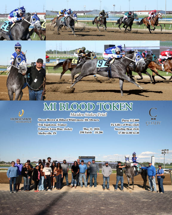 MI BLOOD TOKEN - Maiden Stakes Trial - 05-11-26 - R08 - IND - Coady Media - Kurtis Coady Photography