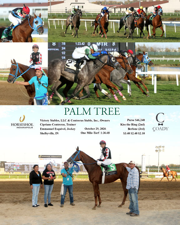 PALM TREE - 10-29-26 - R08 - IND - Coady Media - Kurtis Coady Photography